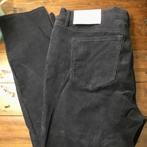 LOFT Modern Skinny Cords